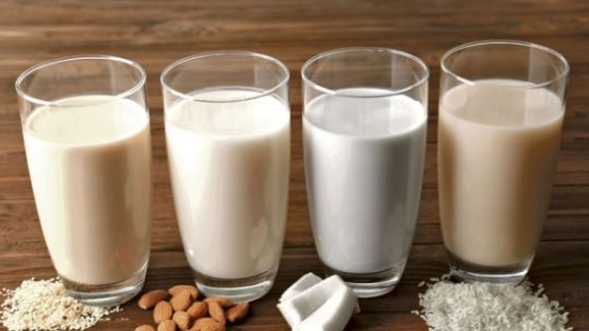 Bebidas vegetales: ¿podrán sustituir a la leche?
