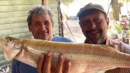 Importante ejemplar capturado en el dique, oficialmente llamado Celestino Gelsi, de 14.000 hectáreas.