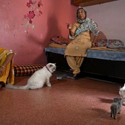 Mujeres sentadas junto a gatos en un centro de cría de animales en el Día Internacional del Gato, en Nueva Delhi, India. | Foto:ARUN SANKAR / AFP