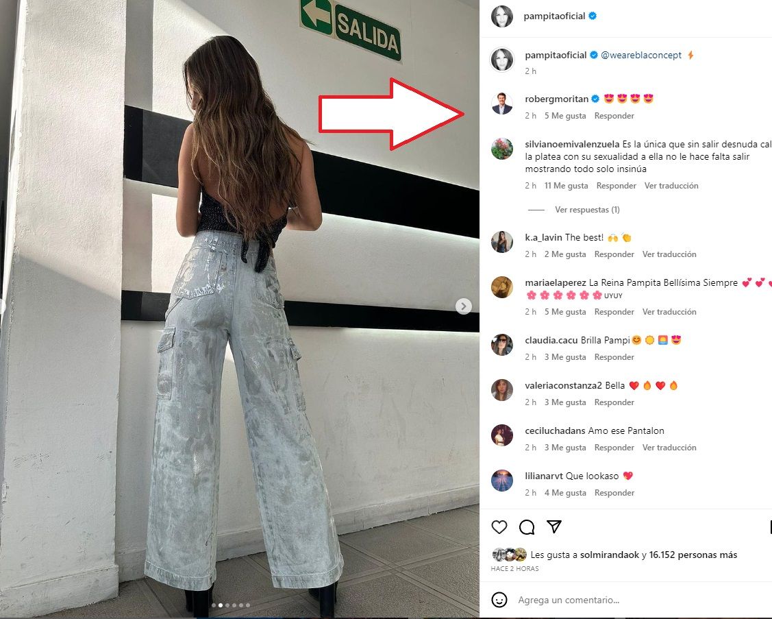 Pampita reconquistó a Roberto García Moritán con look elétrico
