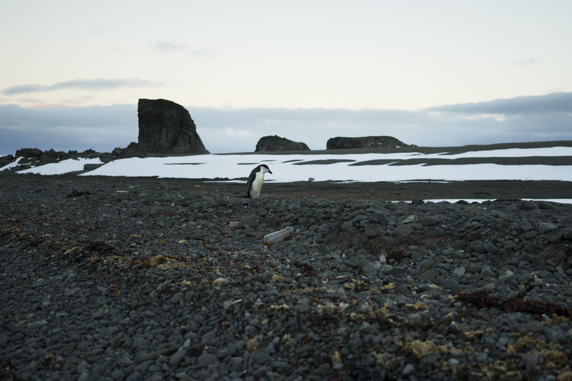 Ecuador's Pedro Vicente Maldonado Research Station In Antarctica 