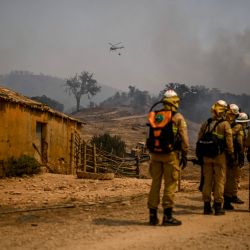 Personal del Grupo de Intervención de Protección y Socorro (GIPS) especializado en la lucha contra incendios forestales, llega para combatir un incendio forestal en Reguengo, distrito de Portalegre, sur de Portugal. | Foto:PATRICIA DE MELO MOREIRA / AFP