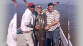 Soberbio ejemplar que se prendió a una morena y demostró que la pesca con carnada es una excelente alternativa en este destino santafecino.