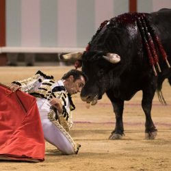 El torero español David Fandilla "El Fandi" realiza un pase con una muleta durante una corrida de toros en la plaza de toros Coliseo Balear, en Palma de Mallorca. | Foto:JAIME REINA / AFP