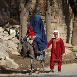 En esta fotografía una mujer afgana vestida con un burka monta un burro junto con niños en una calle del distrito de Tagab, en la provincia de Badakhshan. | Foto:OMER ABRAR / AFP