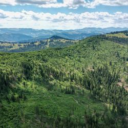 Esta vista aérea muestra antiguas áreas madereras en el valle de Tarhaus, cerca del pueblo de Ghimes-Faget en la región central de Transilvania en Rumania. | Foto:IONUT IORDACHESCU / AFP