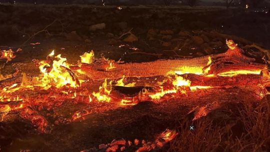 ¿Por qué se desataron los incendios forestales en Hawaii?