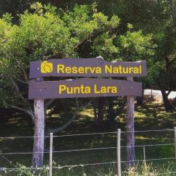 Reserva Punta Lara.