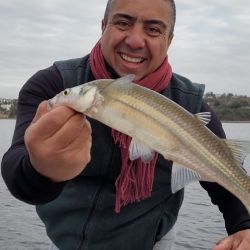 La provincia de Córdoba sigue entregando muy buena pesca en una temporada bárbara para el pejerrey.