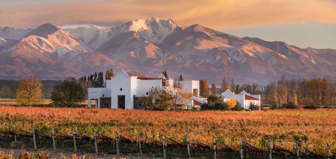 Conoce más sobre Finca Ambrosía