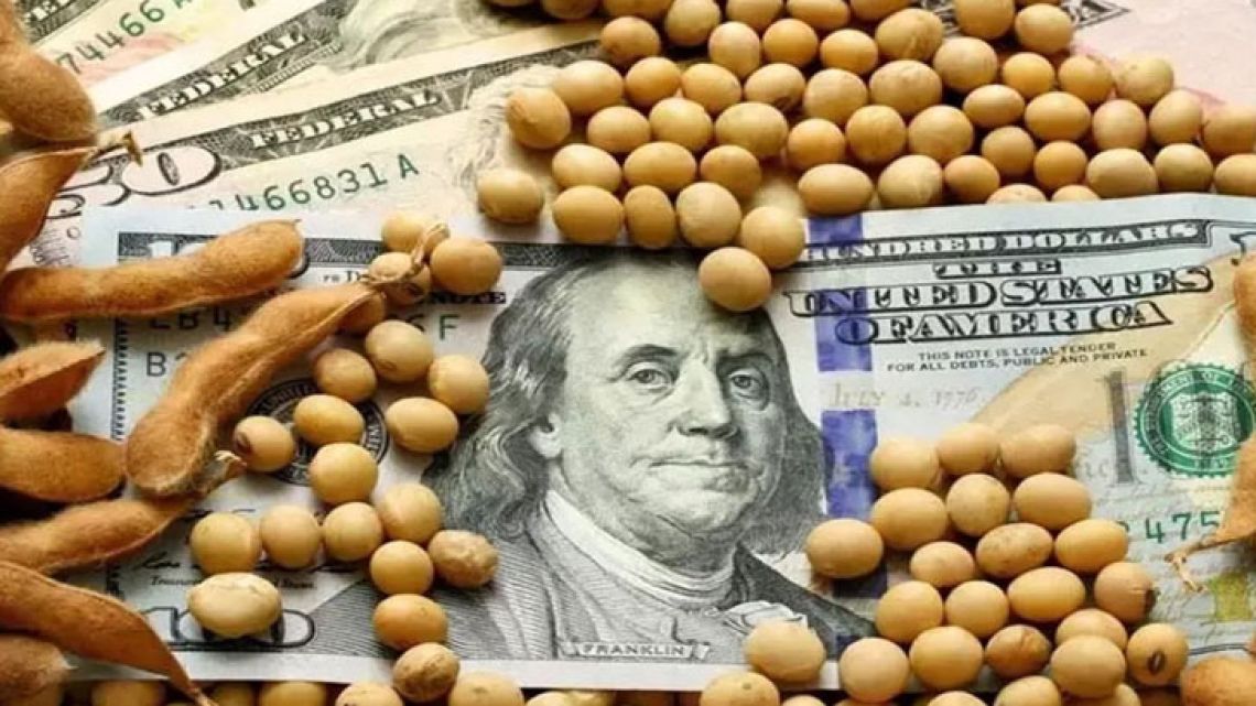 Qué Pasará Con El Dólar Agro Después De La Devaluación Perfil 0770