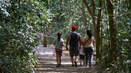 Reserva Municipal Los Robles, en la localidad de La Reja, partido de Moreno.