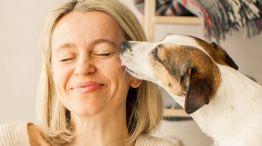 Ansiedad y depresión en mascotas: qué se debe tener en cuenta