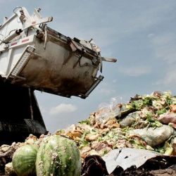 La mayor parte de los 1400 millones de toneladas de desechos de comida que se producen en todo el mundo termina en los basureros. | Foto:CEDOC