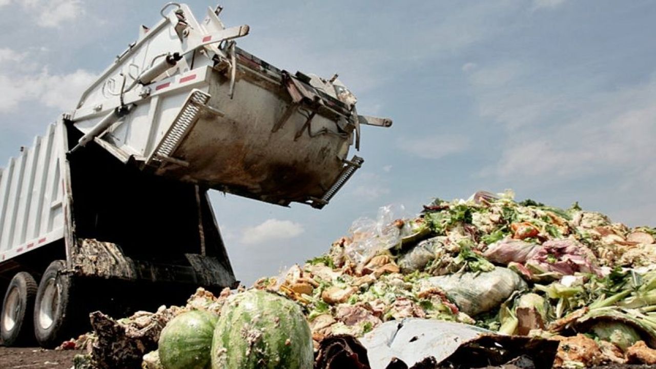 La mayor parte de los 1400 millones de toneladas de desechos de comida que se producen en todo el mundo termina en los basureros. | Foto:CEDOC