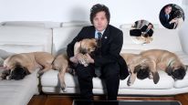 Las mejores fotos de Javier Milei junto a los perros a los que considera sus hijos