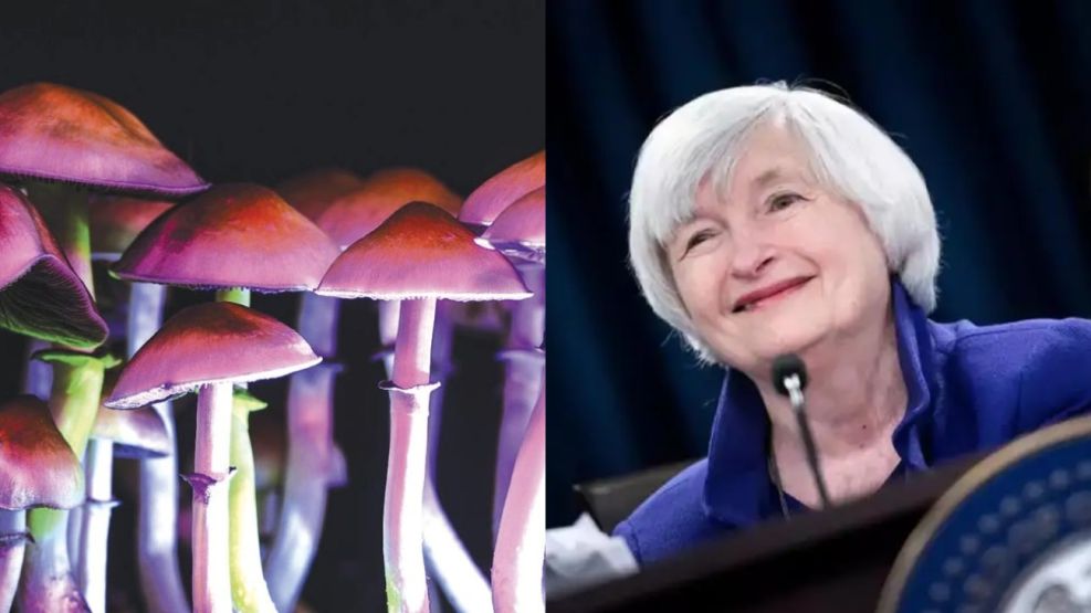 Janet Yellen probó hongos alucinógenos "por accidente" en China