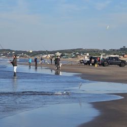 El pejerrey es la vedette en estas playas hasta que se vengan las buenas temperaturas y sea desplazado por la variada. (Fotos archivo)