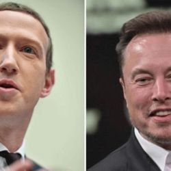 Elon Musk contra Mark Zukemberg, el combate del siglo | Foto:collage de foto