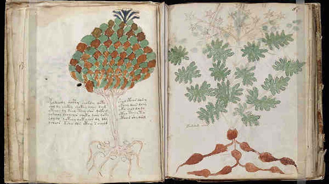 El Manuscrito Voynich, el libro más misterioso del mundo | Perfil