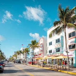 Hay muchas excursiones para conocer la zona partiendo de Miami.