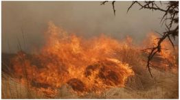 incendios cordoba 21082023