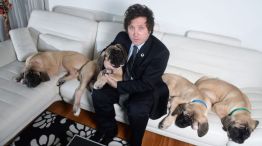 Javier Milei y sus perros