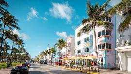 Hay muchas excursiones para conocer la zona partiendo de Miami.