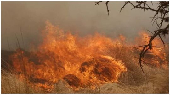 Incendios en Córdoba: los bomberos luchan contra el fuego en una jornada de riesgo extremo