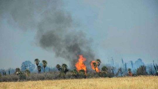 Incendio forestal en San Luis: el fuego alcanzó viviendas de El Trapiche y evacuaron la zona