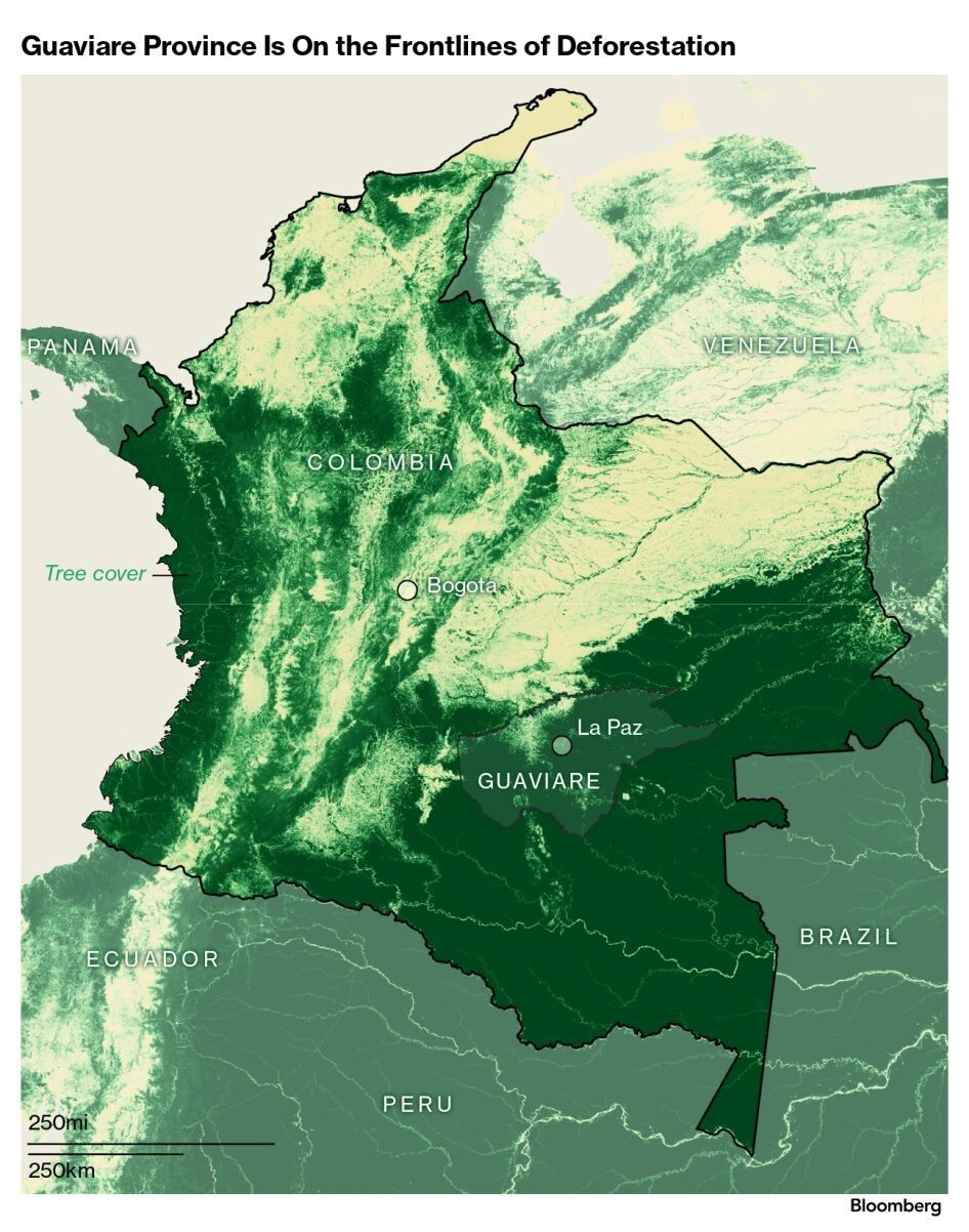 Guaviare Province Is On the Frontlines of Deforestation
        
         |