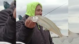 Con nuevas tarifas en el Club La Salada, el pejerrey empezó a activarse poco a poco.