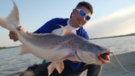 2308_villaconstitucion