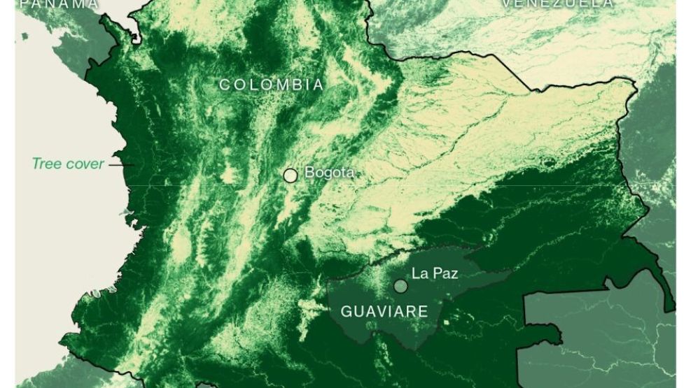 Guaviare Province Is On the Frontlines of Deforestation
        
         |