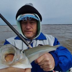 El Río de la Plata está en su mejor momento, hay cantidad y calidad, en una temporada que se extiende durante agosto, septiembre y hasta parte de octubre.