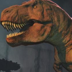 Los restos pertenecen a primos primitivos del Tiranosaurio Rex que habitaron en Africa a comienzos del Período Cretácico