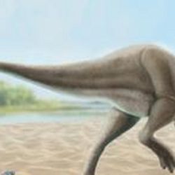 Ambas especies formaban parte de una familia de dinosaurios carnívoros primitivos conocidos como abelisaurios