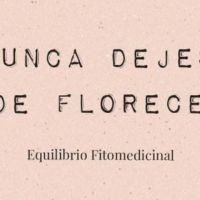 Equilibrio Fitomedicinal