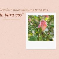 Equilibrio Fitomedicinal