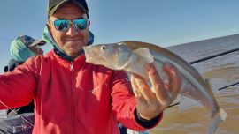 Aún quedan varias semanas para seguir disfrutando del pique del pejerrey en el río aguas color león.
