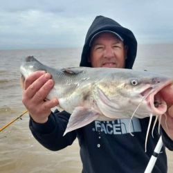 En apenas 4 horas de pesca, pudieron dar con una linda pesca de esta especie en el Río de la Plata. 