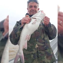 En apenas 4 horas de pesca, pudieron dar con una linda pesca de esta especie en el Río de la Plata. 