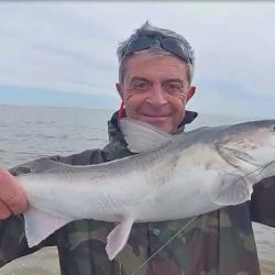 En apenas 4 horas de pesca, pudieron dar con una linda pesca de esta especie en el Río de la Plata. 