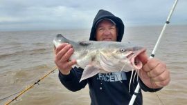 En apenas 4 horas de pesca, pudieron dar con una linda pesca de esta especie en el Río de la Plata.