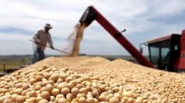 Cómo funciona el nuevo "Dólar soja" que el Gobierno lanzó