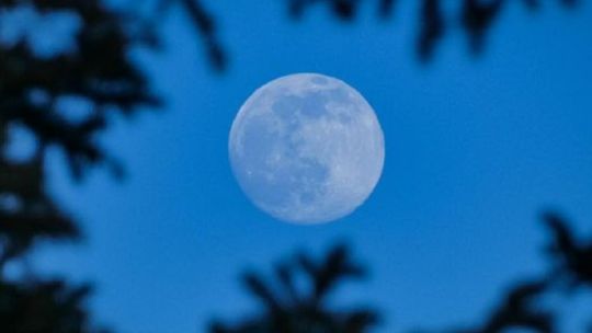 Superluna Azul 2023 ¿cómo Es Qué Día Y A Qué Hora Puede Verse Desde La Argentina Weekend