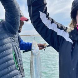 Lo mejor está por venir en San Blas, aunque ya el pejerrey y las pescadillas son excelentes alternativas. 