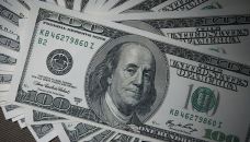 dolar blue