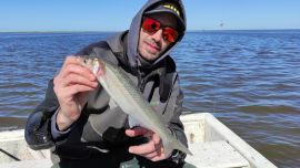 Este escenario nos obliga a tener paciencia y esperarlo al pejerrey, porque arranca a comer cuando calienta el sol, un rato antes del mediodía.