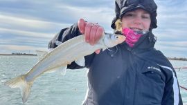 Lo mejor está por venir en San Blas, aunque ya el pejerrey y las pescadillas son excelentes alternativas.